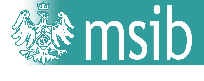 logo_msib