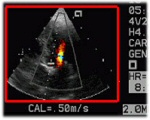 fig5